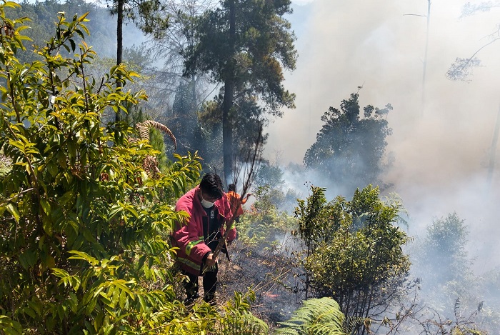 Satgas Manggala Agni Kabupaten Toba memadamkan api yang membakar tujuh hektar lahan di Desa Pagar Batu, Kecamatan Balige, Kabupaten Toba. (Dok. BPBD Kabupaten Toba)