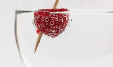 Soda Diet Tidak Selalu Sehat, Pemanis Buatan Percepat Penuaan Otak