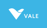 Vale Base Metals Akan Melanjutkan Penerapan Flotasi Partikel Kasar di Salobo guna Meningkatkan Produksi Tembaga dan Mempercepat Realisasi Proyeksi Produksi
