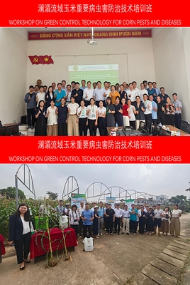 CCTV+: Lokakarya Teknologi yang Ramah Lingkungan untuk Pengendalian Hama dan Penyakit Jagung di DAS Lancang-Mekong Digelar di Hanoi, Vietnam